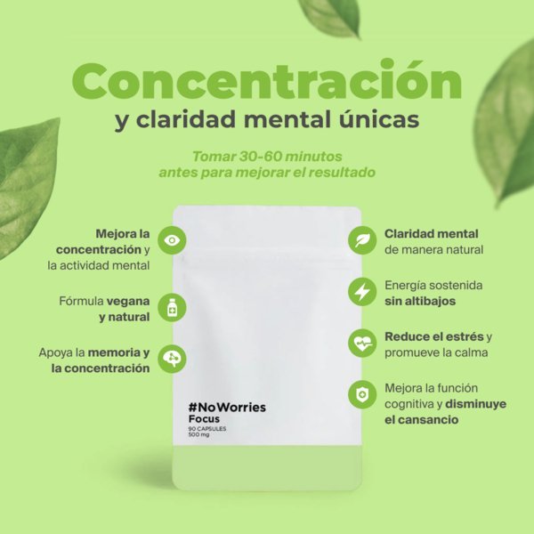 Concentración en septiembre: qué funciona de verdad (cafeína con L-teanina, bacopa, rhodiola) y qué es humo - NoWorries Lab