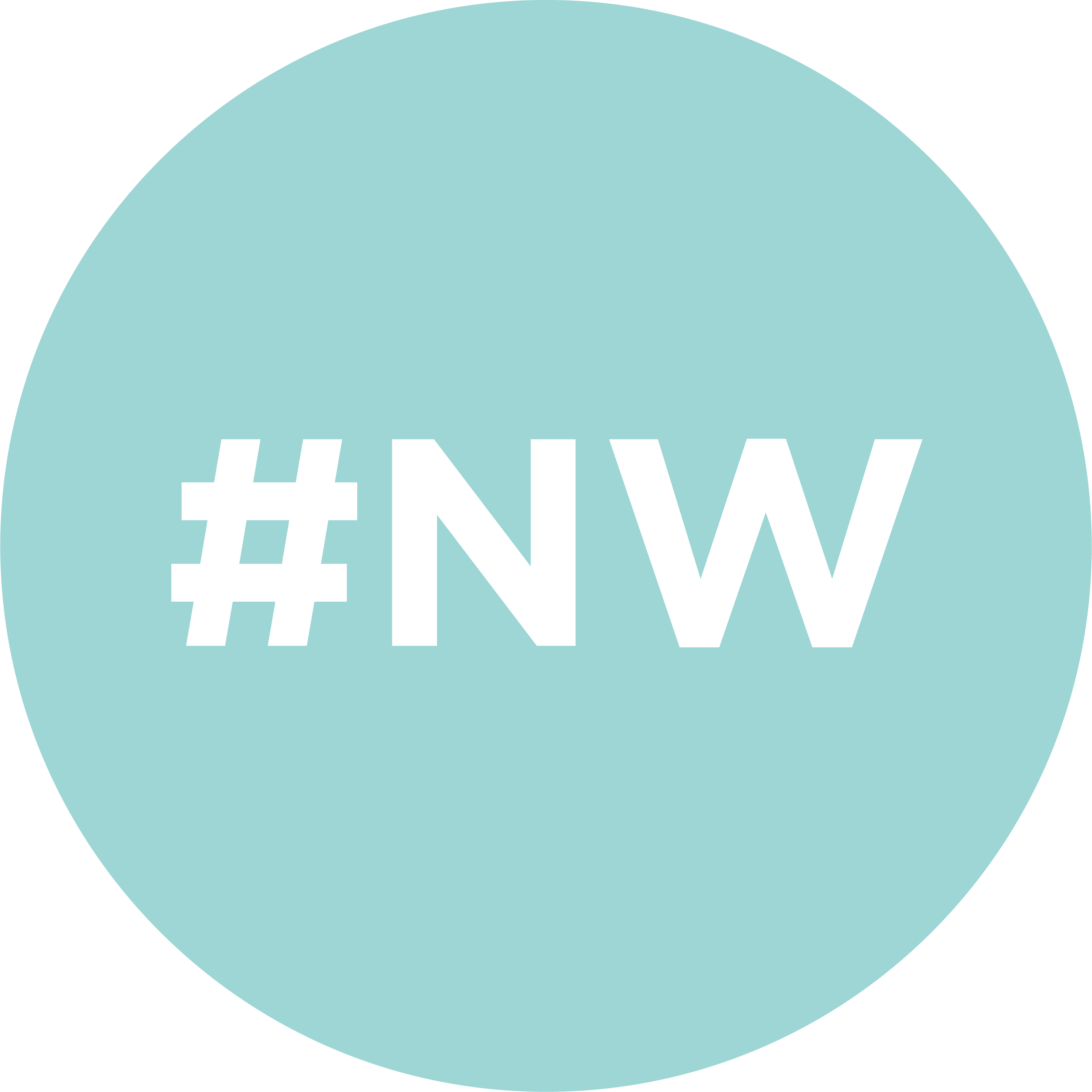 noworrieslab.com logo
